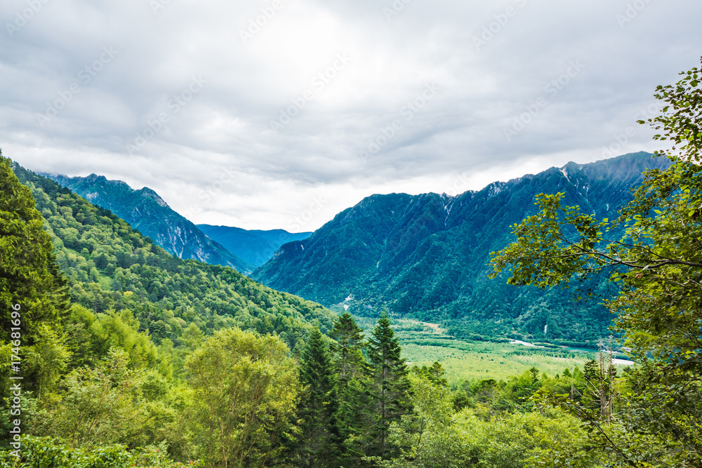 山と木々