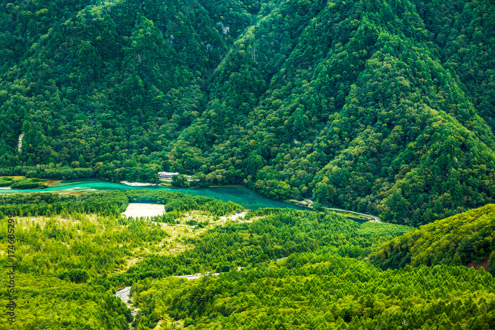 山の木々と池