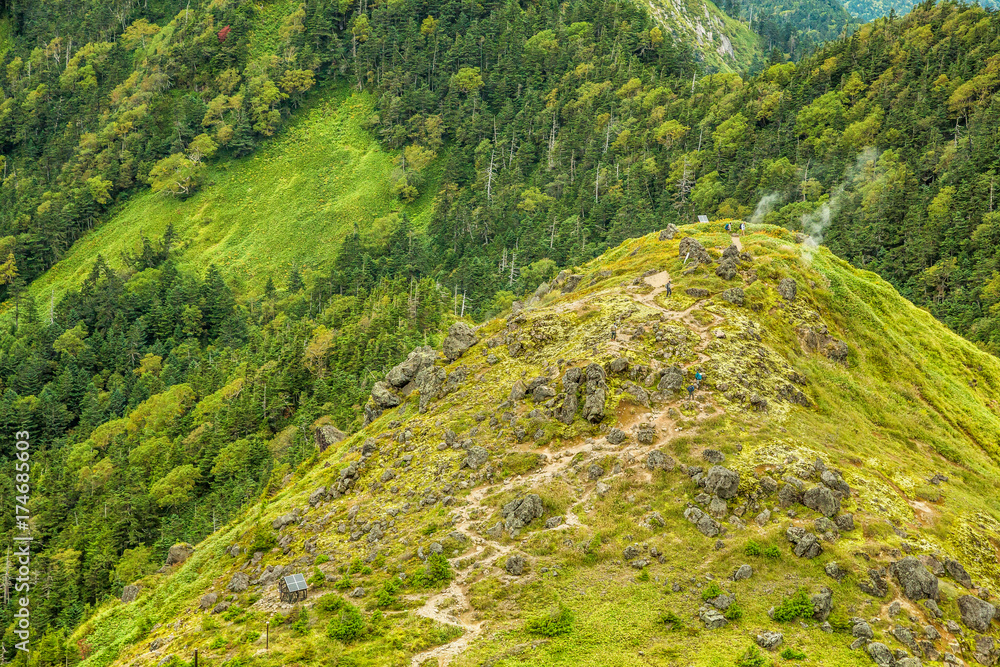 登山道