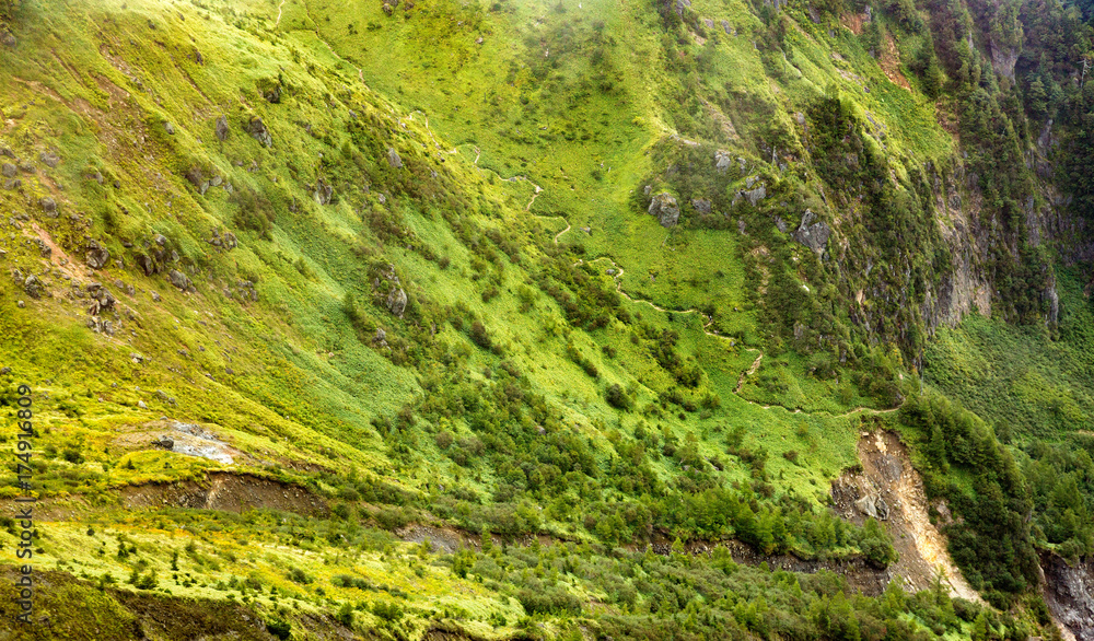 登山道