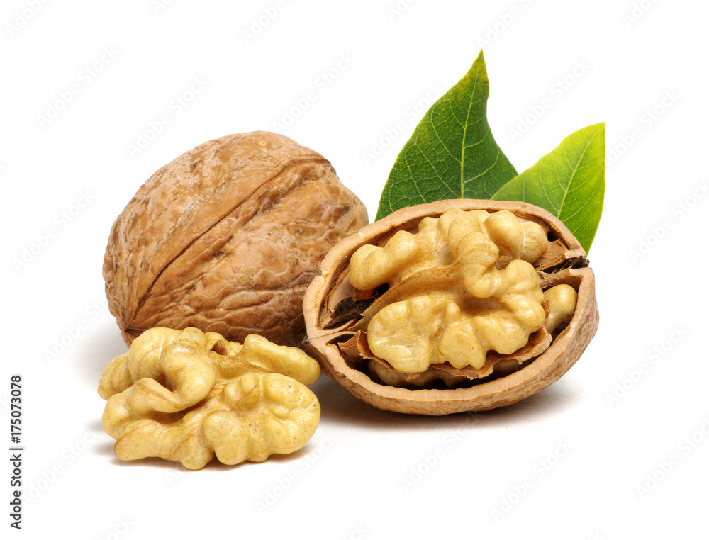 Walnuts with leaves