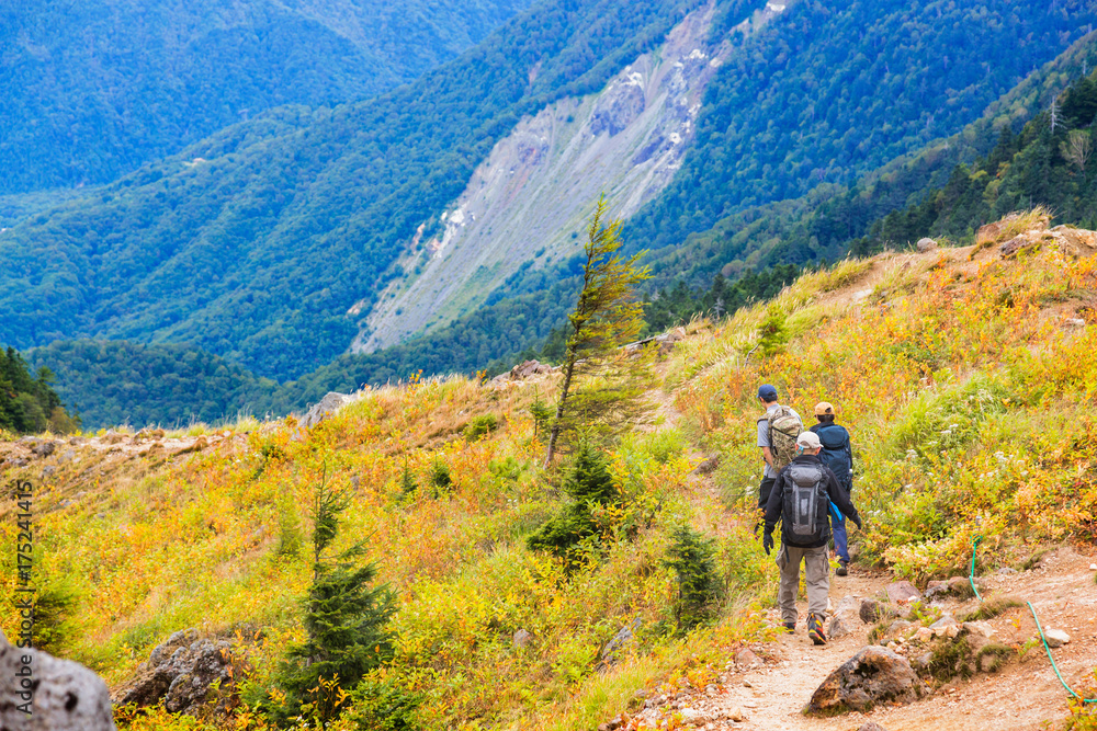 登山道