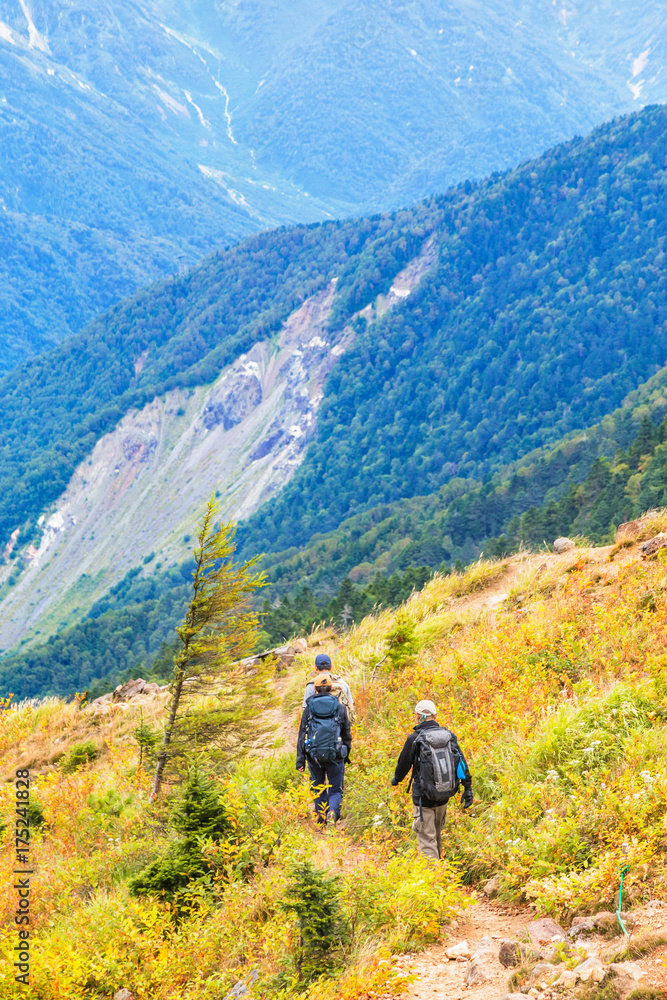 登山道