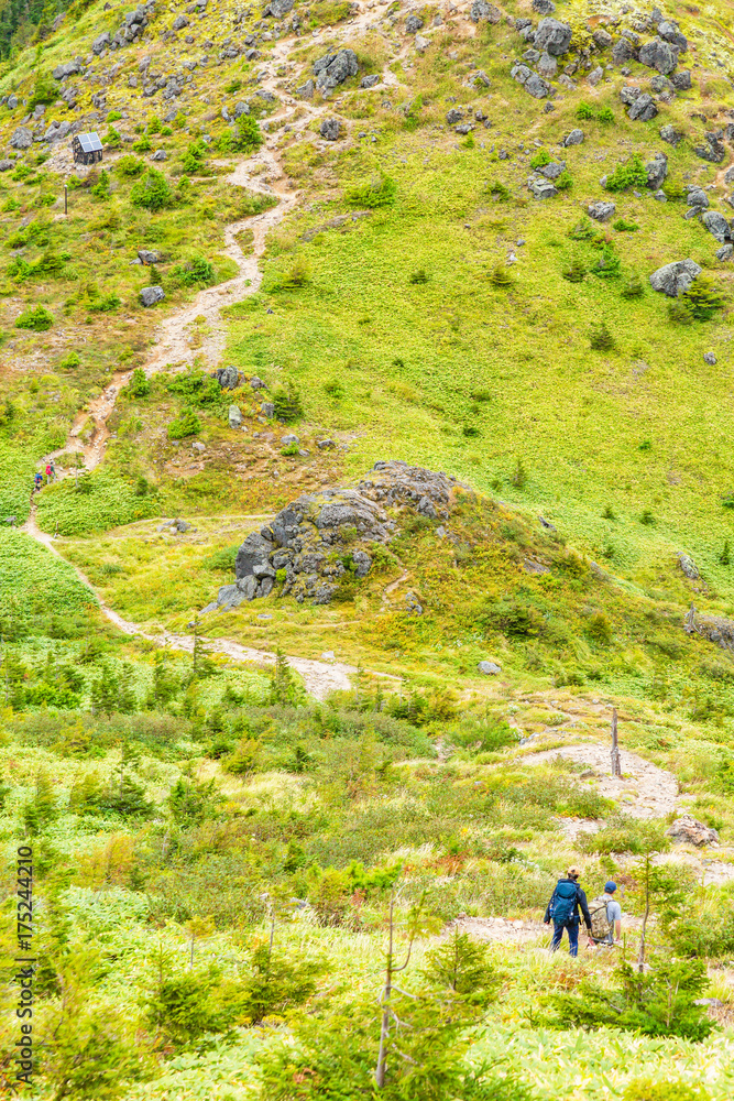 登山道