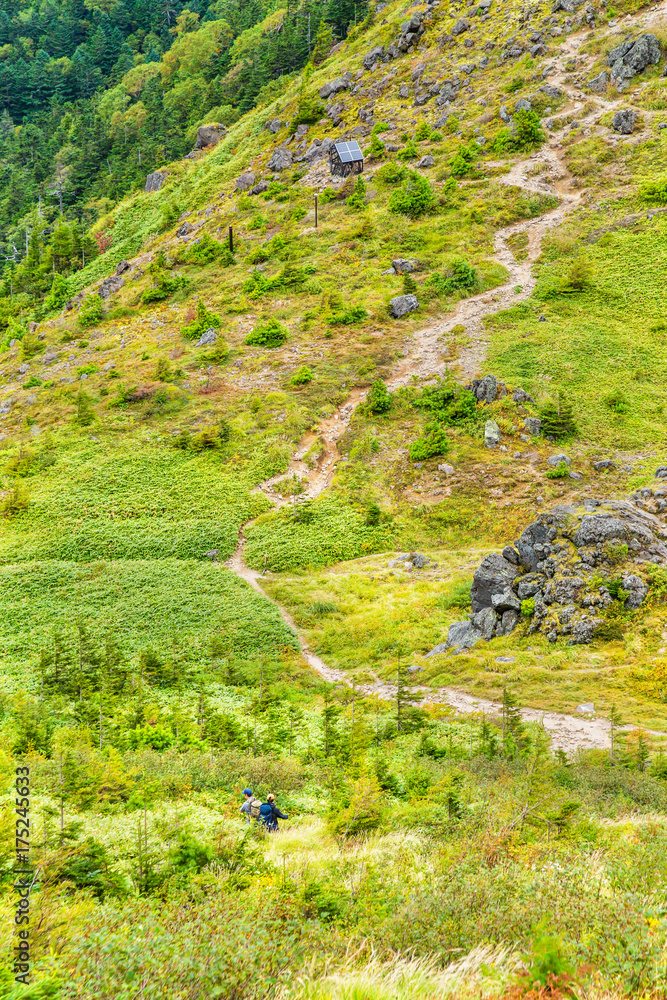 登山道