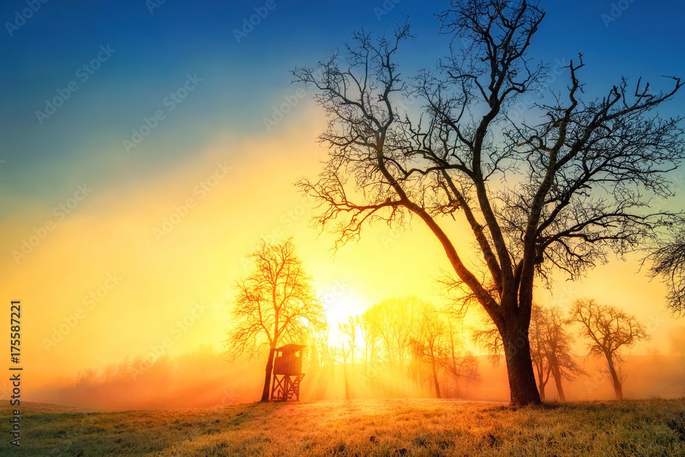 Idyllische Landschaft bei stimmungsvollem Sonnenaufgang mit Nebelschwaden