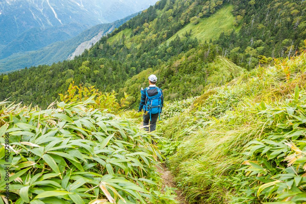 登山道