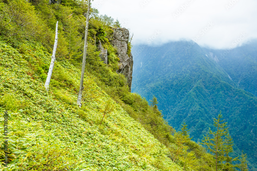 山並み