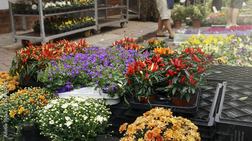 Flower street market