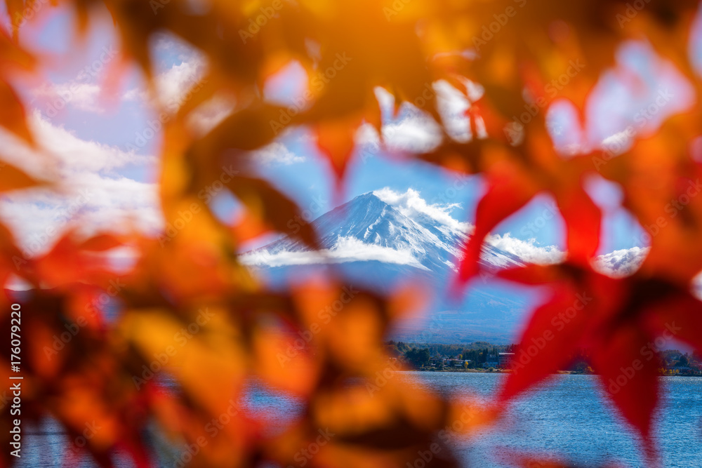 日本秋色富士山