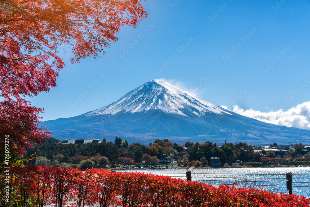 日本秋色富士山