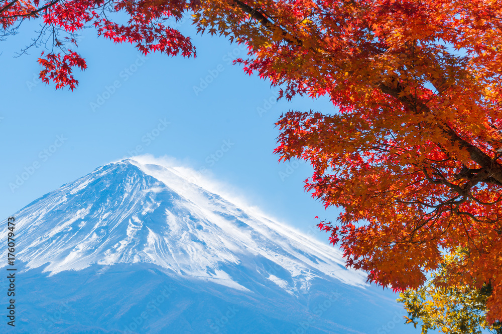 日本秋色富士山