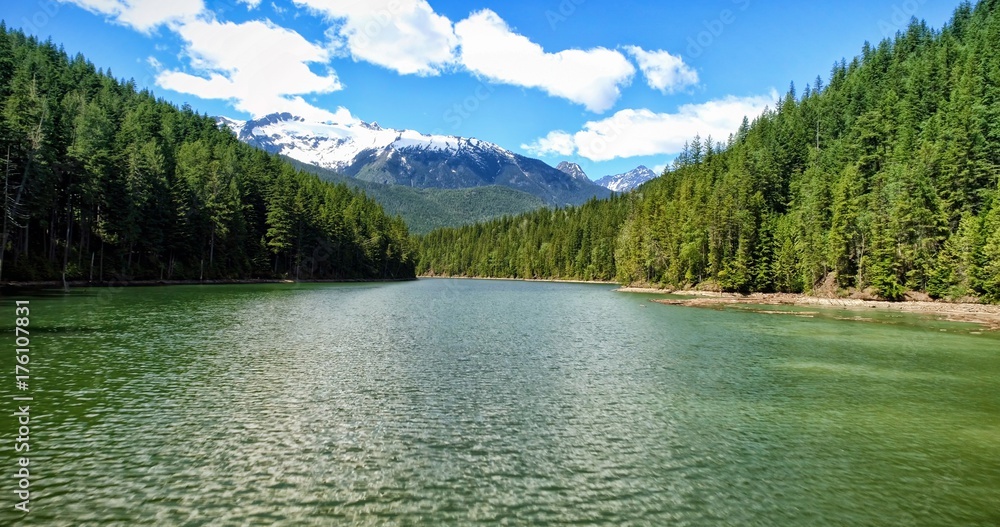 Idyllic shot of river amidst forest