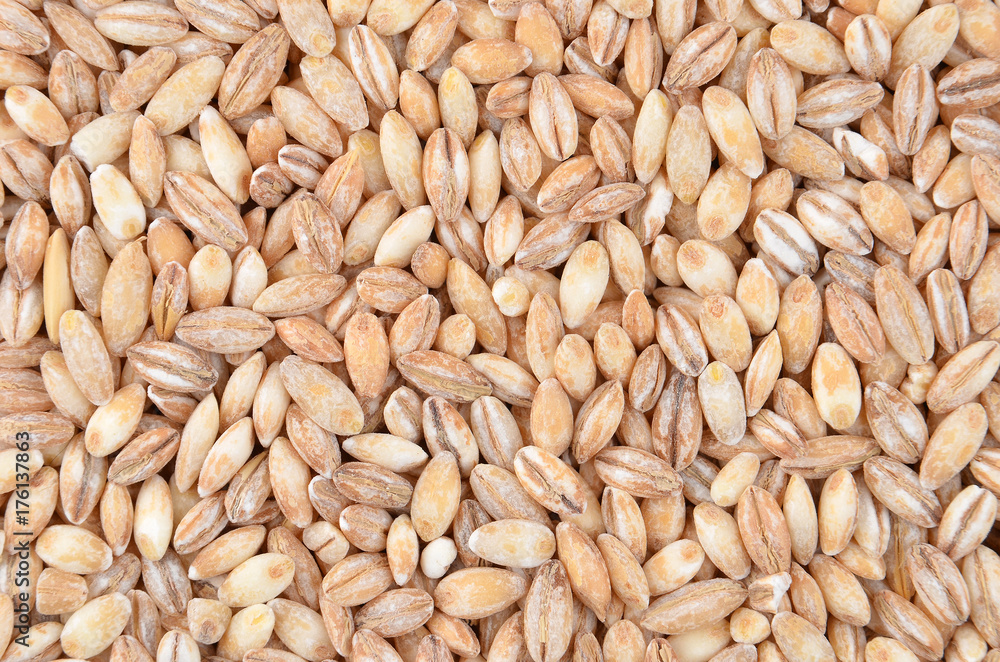 Barley grits, close up