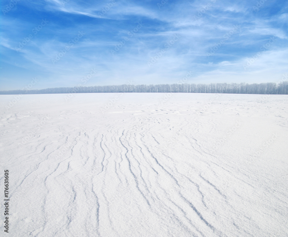 雪地