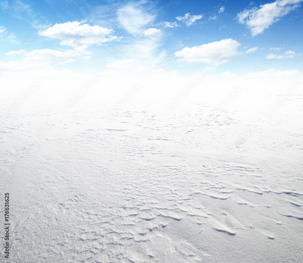 雪地