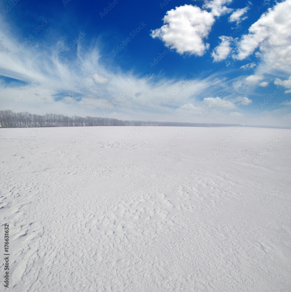 雪地