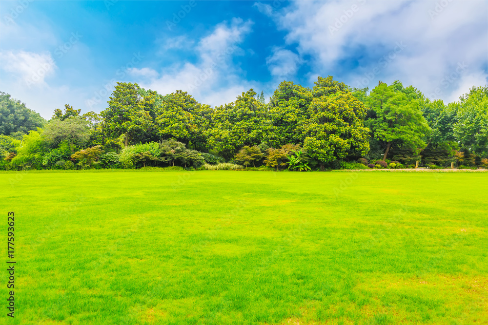 Parks, meadows, woods