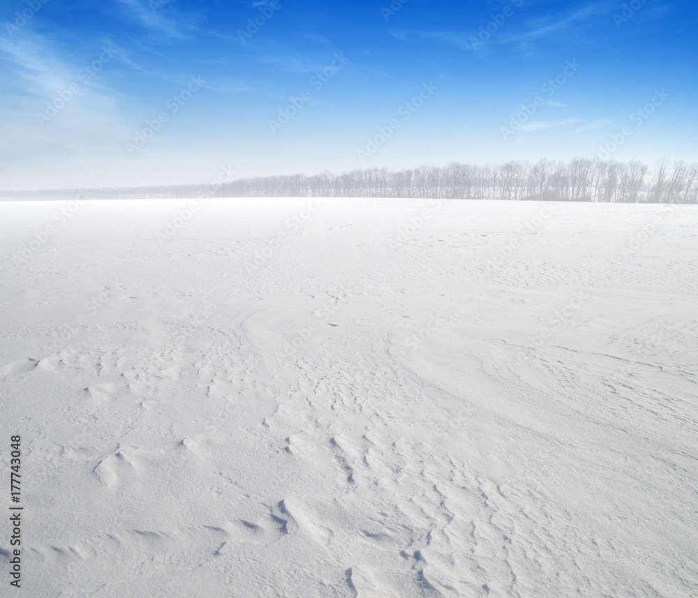 雪地