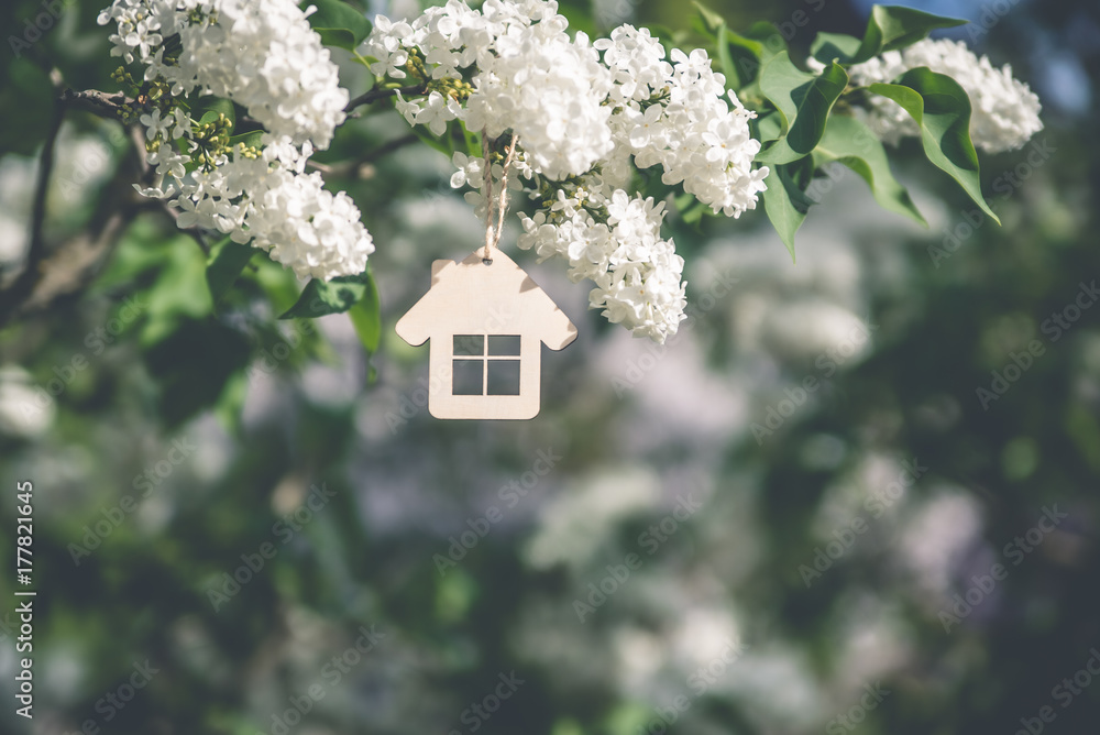 The symbol of the house among the branches of the white lilac 