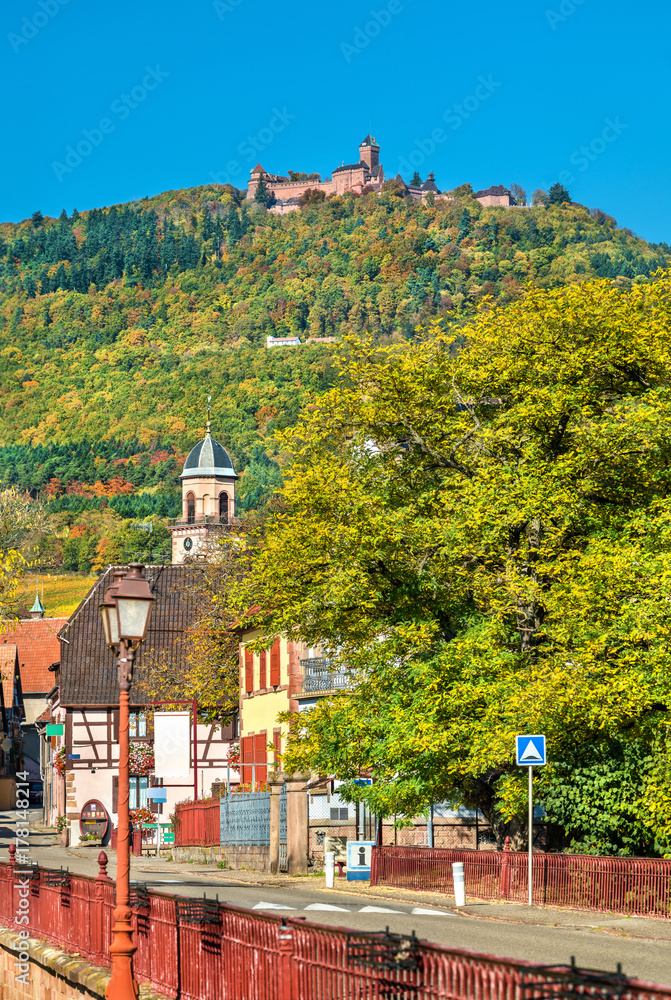 Autumn vineyards in Haut-Rhin - Alsace, France