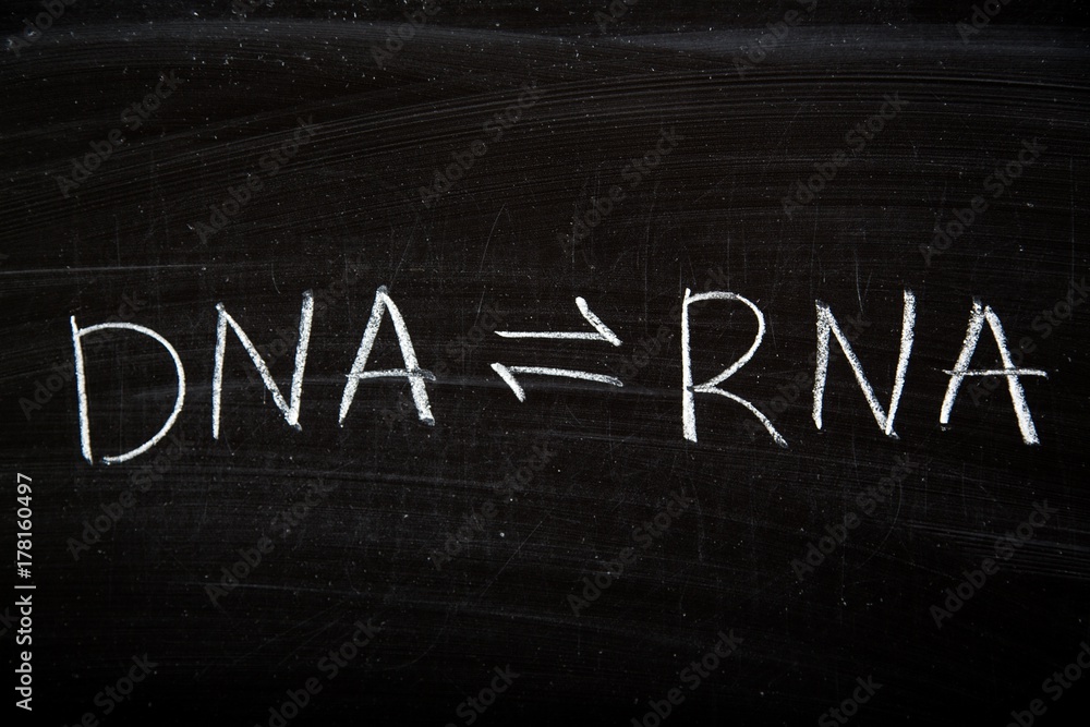 Rna.