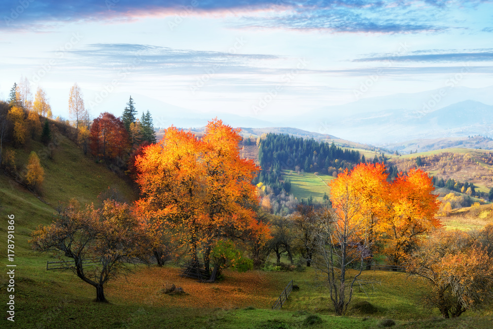 Amazing rural scene on autumn valley