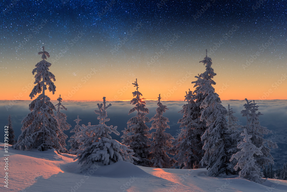 白雪皑皑的Wintry场景