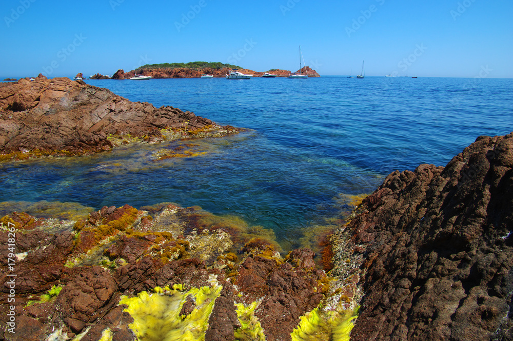 加勒比海夏海