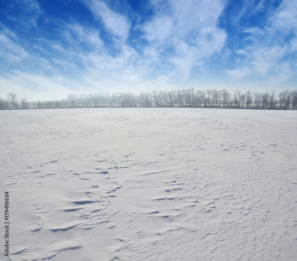 雪地