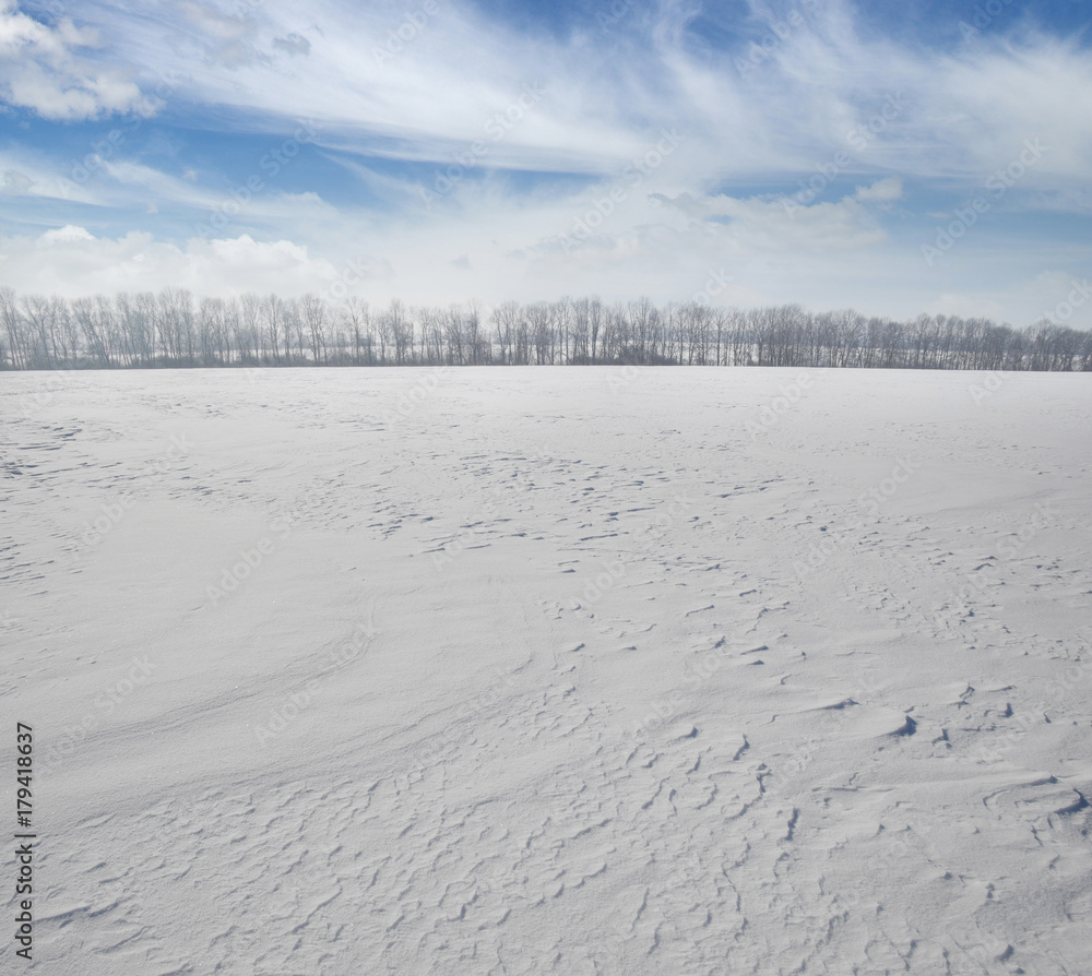 雪地