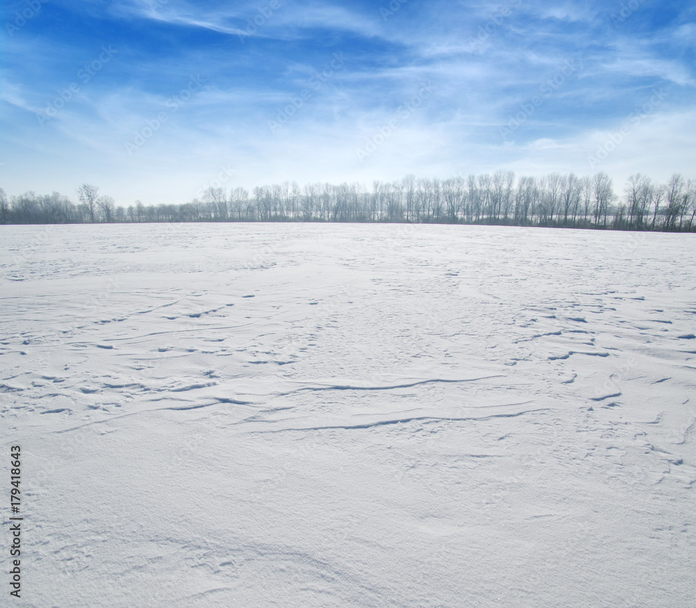 雪地