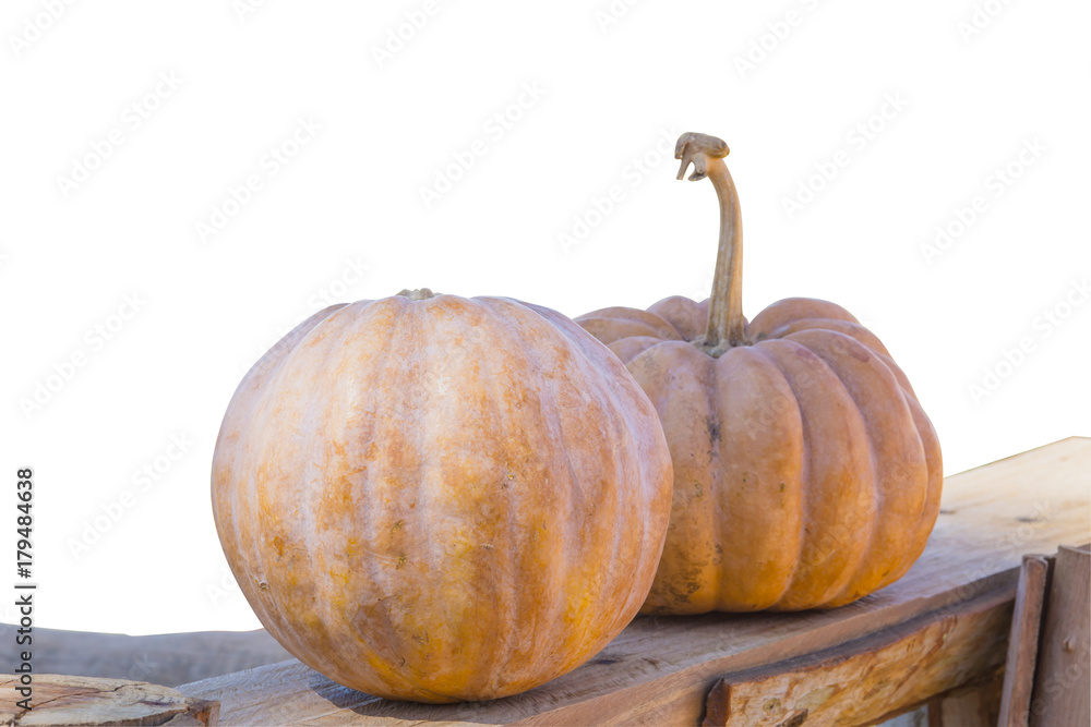 Two yellow pumpkins on a brown wooden floor with a white background.File contains a clipping path.