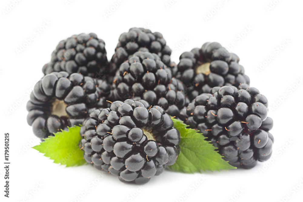 Blackberry fruit on white