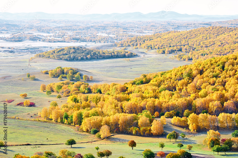 autumn landscapes of Bashang plateau/ autumn landscapes of meadows steppe