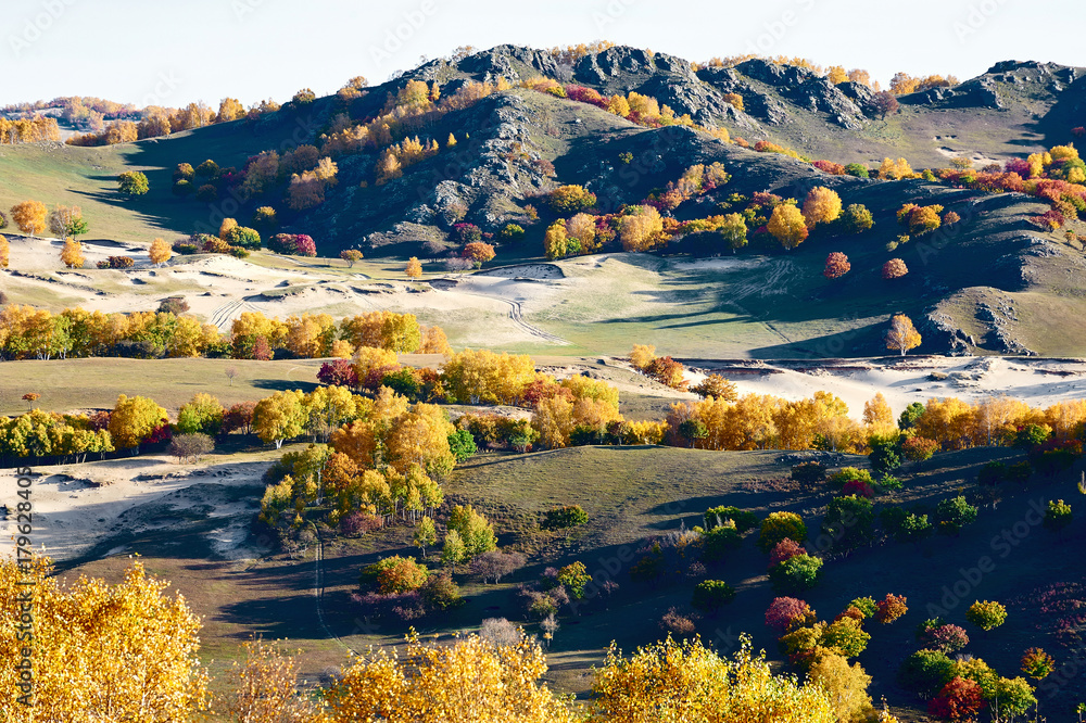 autumn landscapes of Bashang plateau/ autumn landscapes of meadows steppe