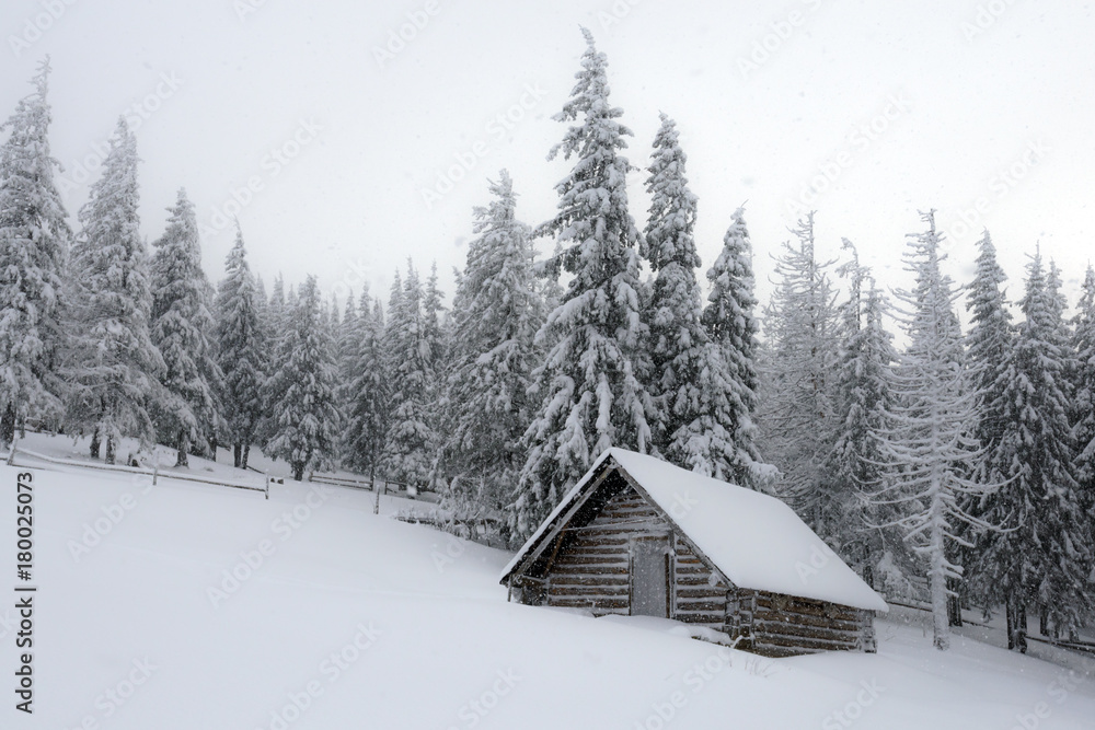 雪屋奇景