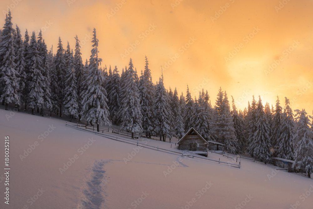 雪屋奇景