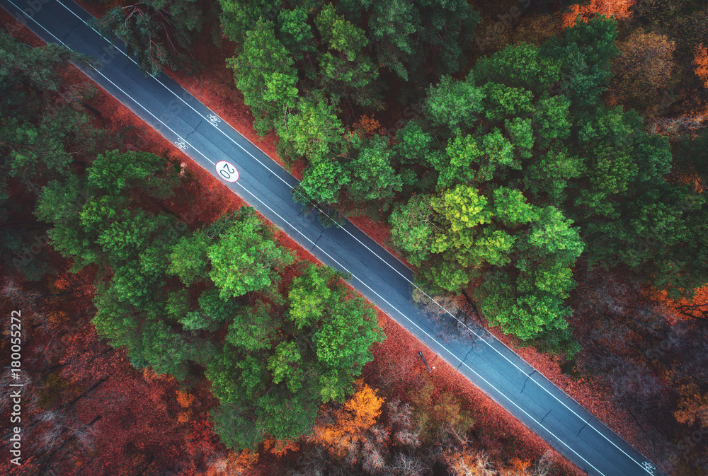 Aerial view of road in beautiful autumn forest. Amazing landscape with empty rural road, trees with 