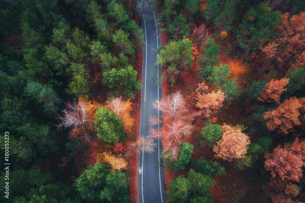 美丽的秋林中的道路鸟瞰图。空旷的乡村道路、树木和令人惊叹的景观