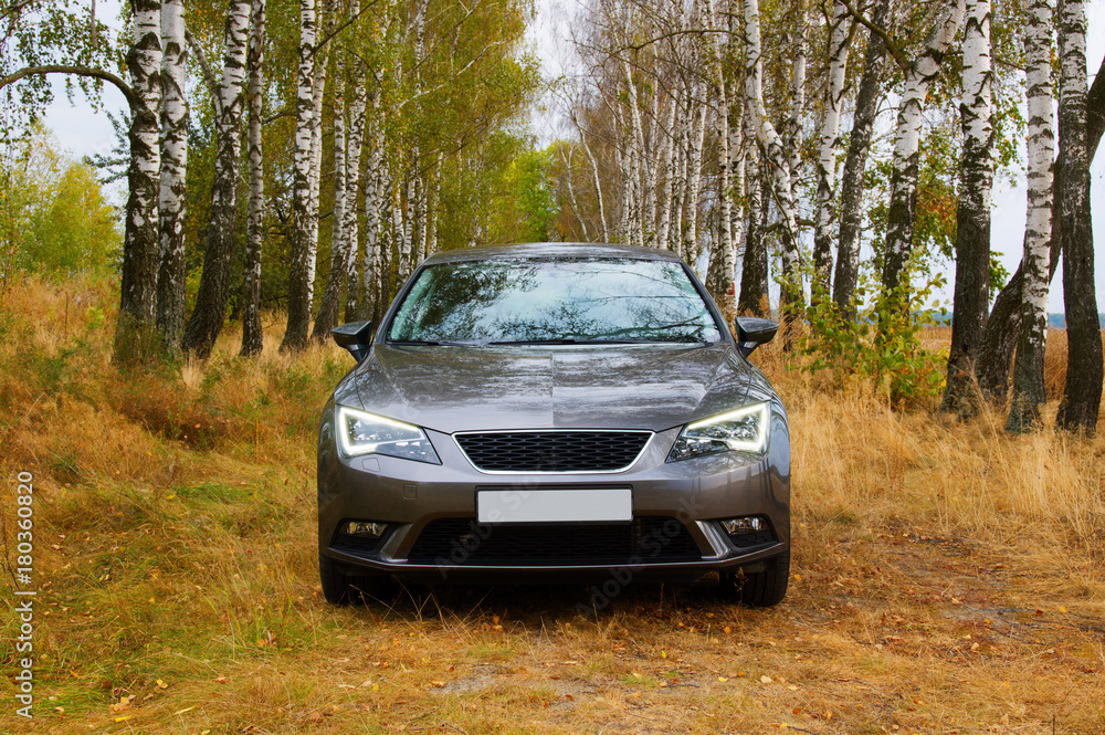 The car on the autumn