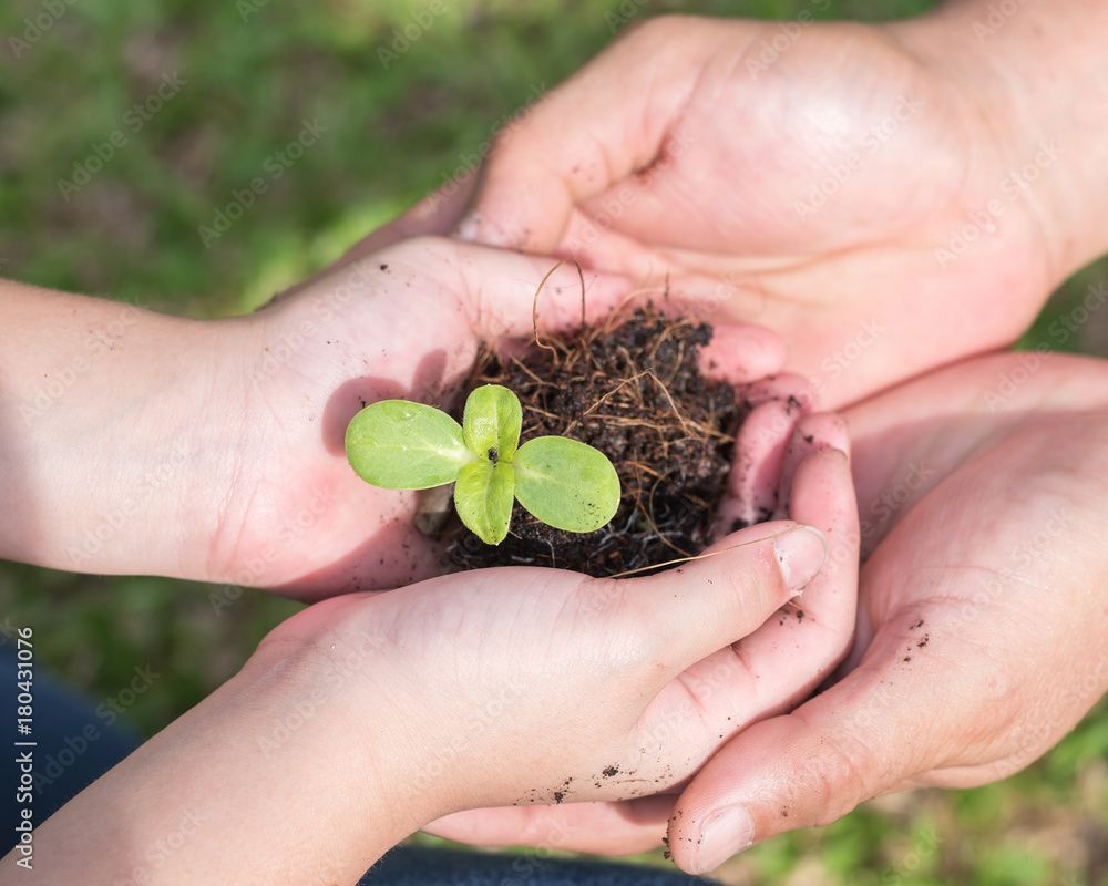 Family tree planting and world environment day concept with young child kid and parent mothers or f