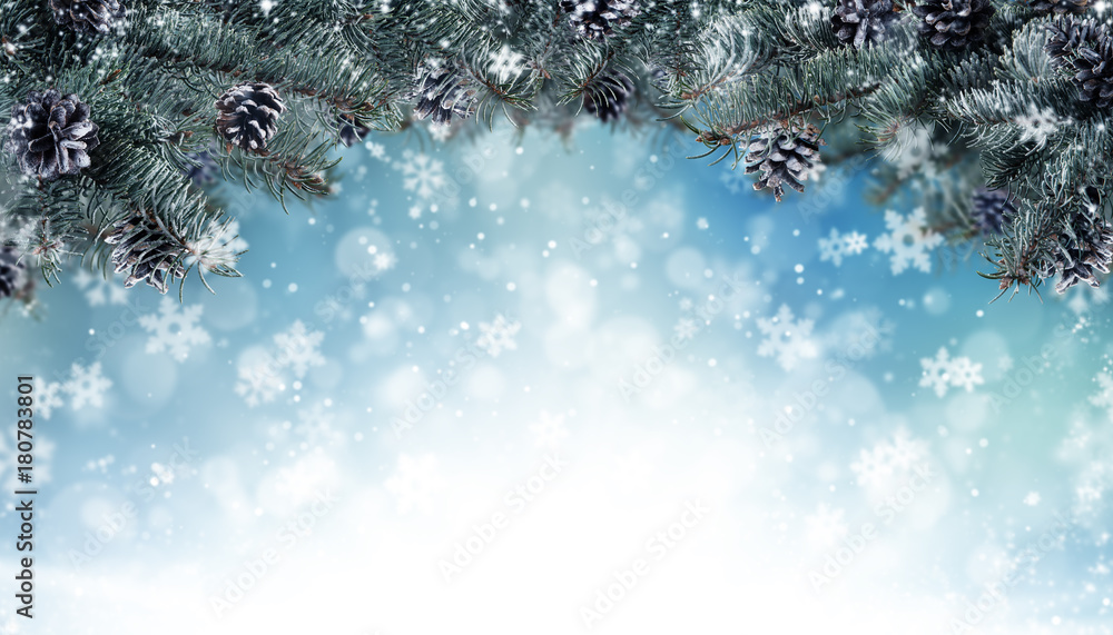 Christmas background with fir tree branches and cones