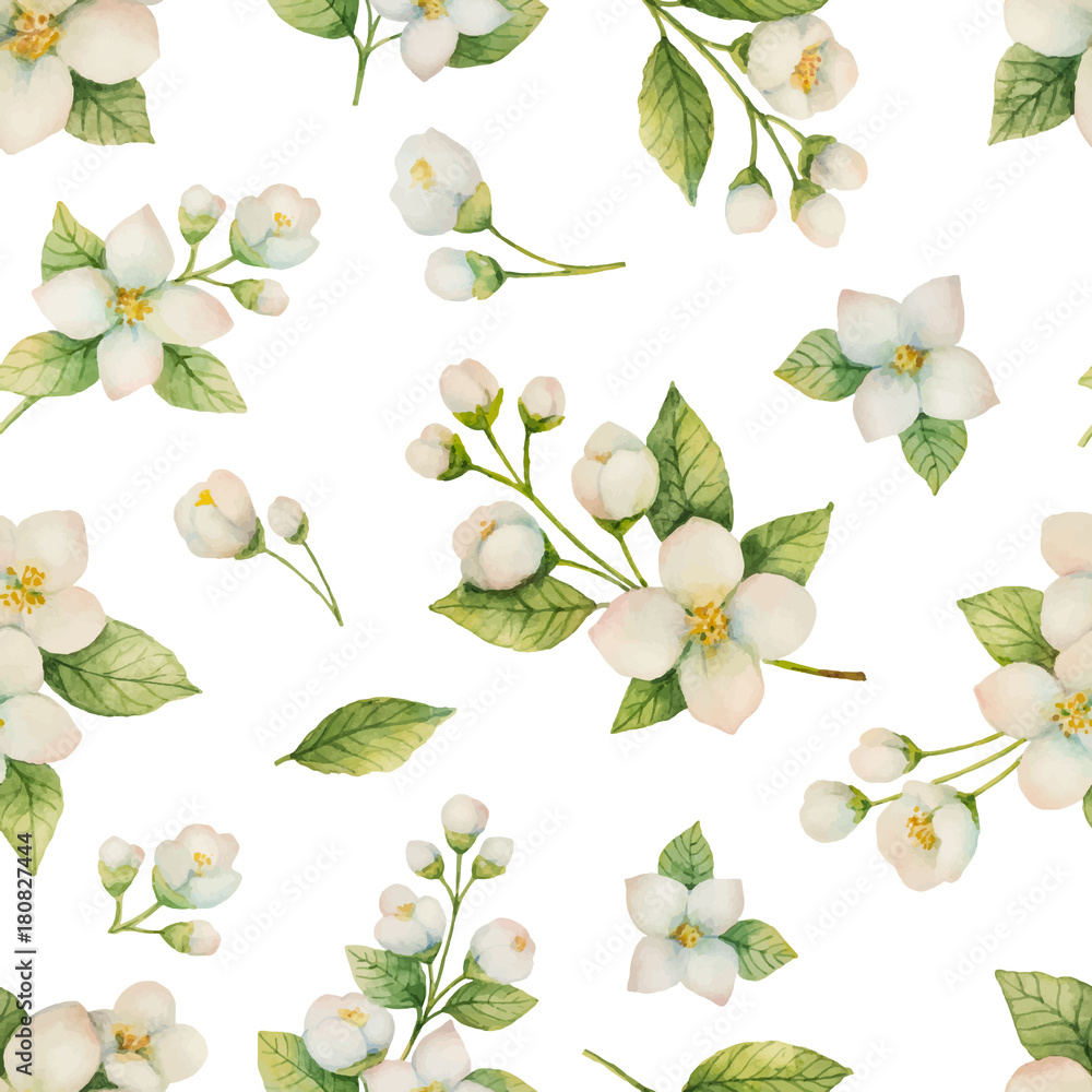 Watercolor vector seamless pattern of flowers and branches Jasmine isolated on a white background.