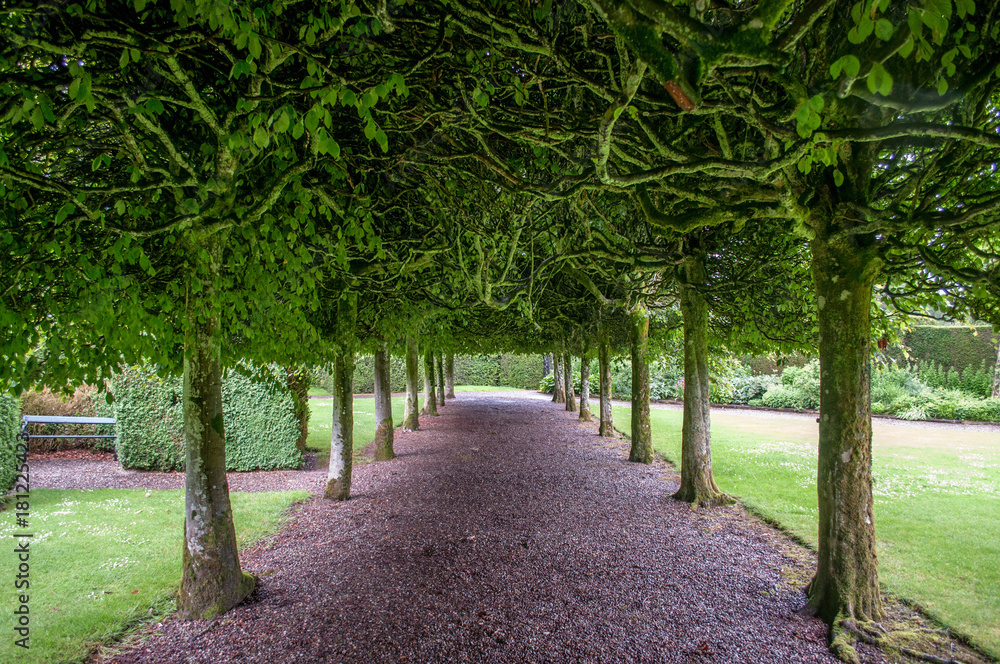 Beautifully maintained garden at Glamis Castle, Scotland