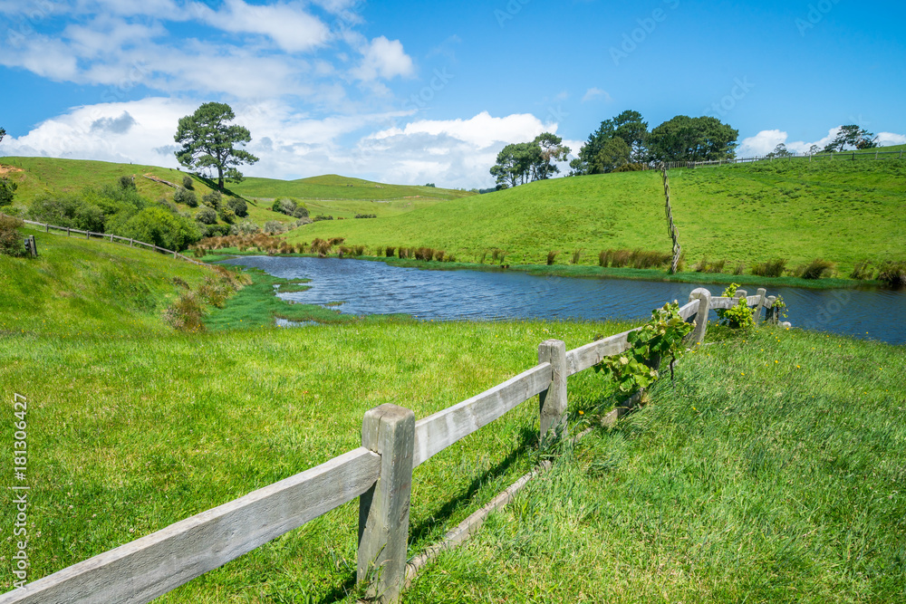 Green Grass Field in the Countryside Landscape