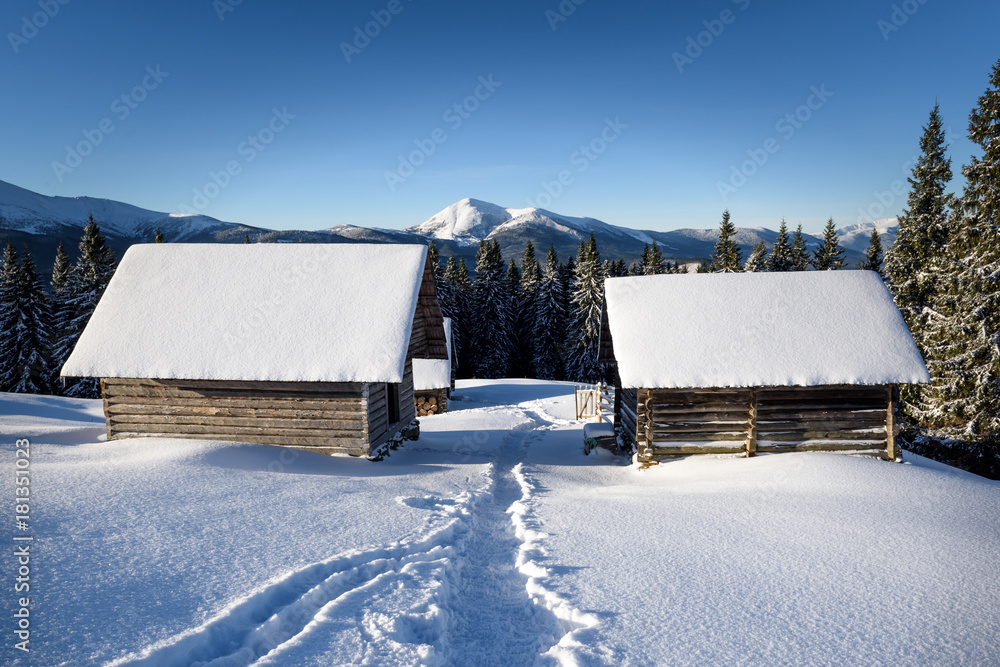 雪屋奇景