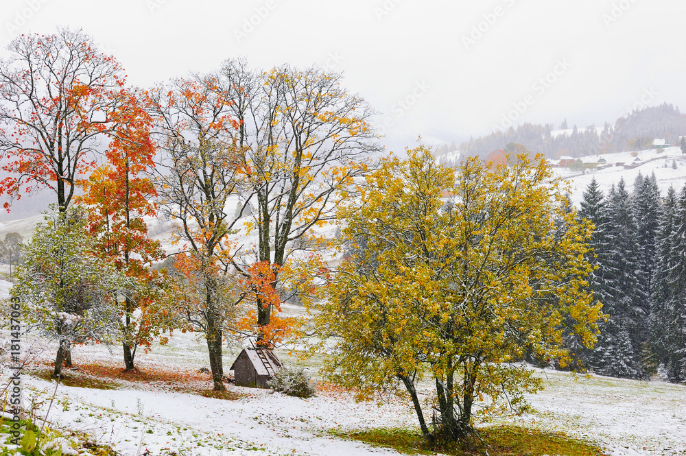 First snow in the forest in the mountains