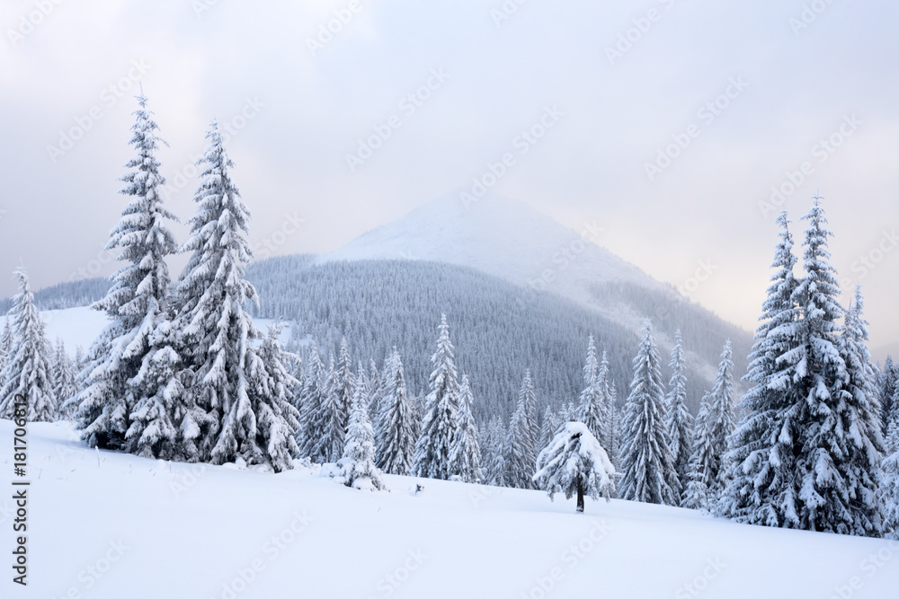 Fantastic winter landscape