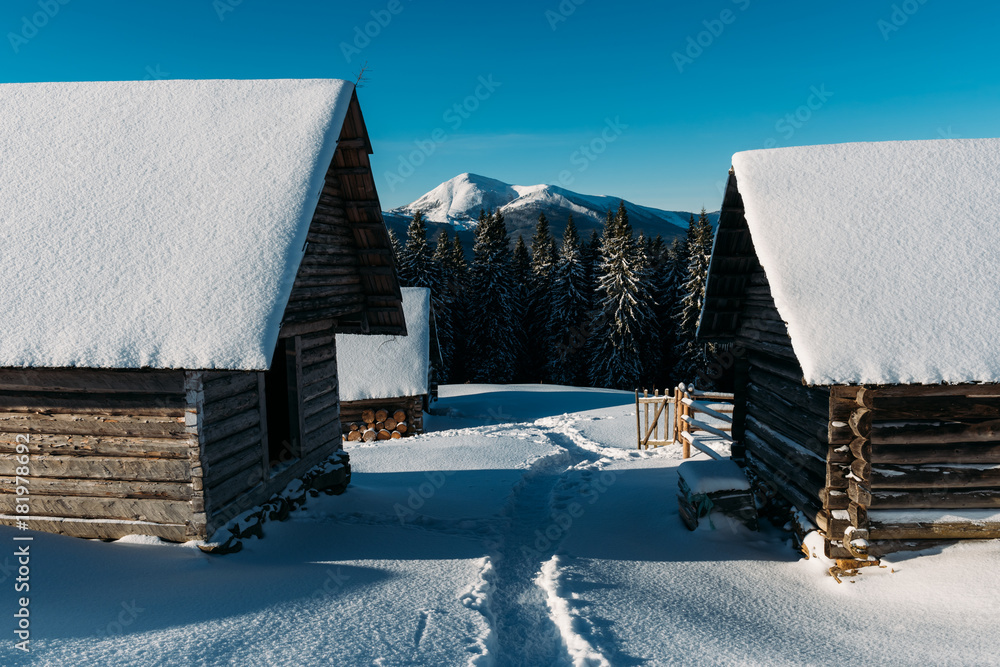 雪屋奇景